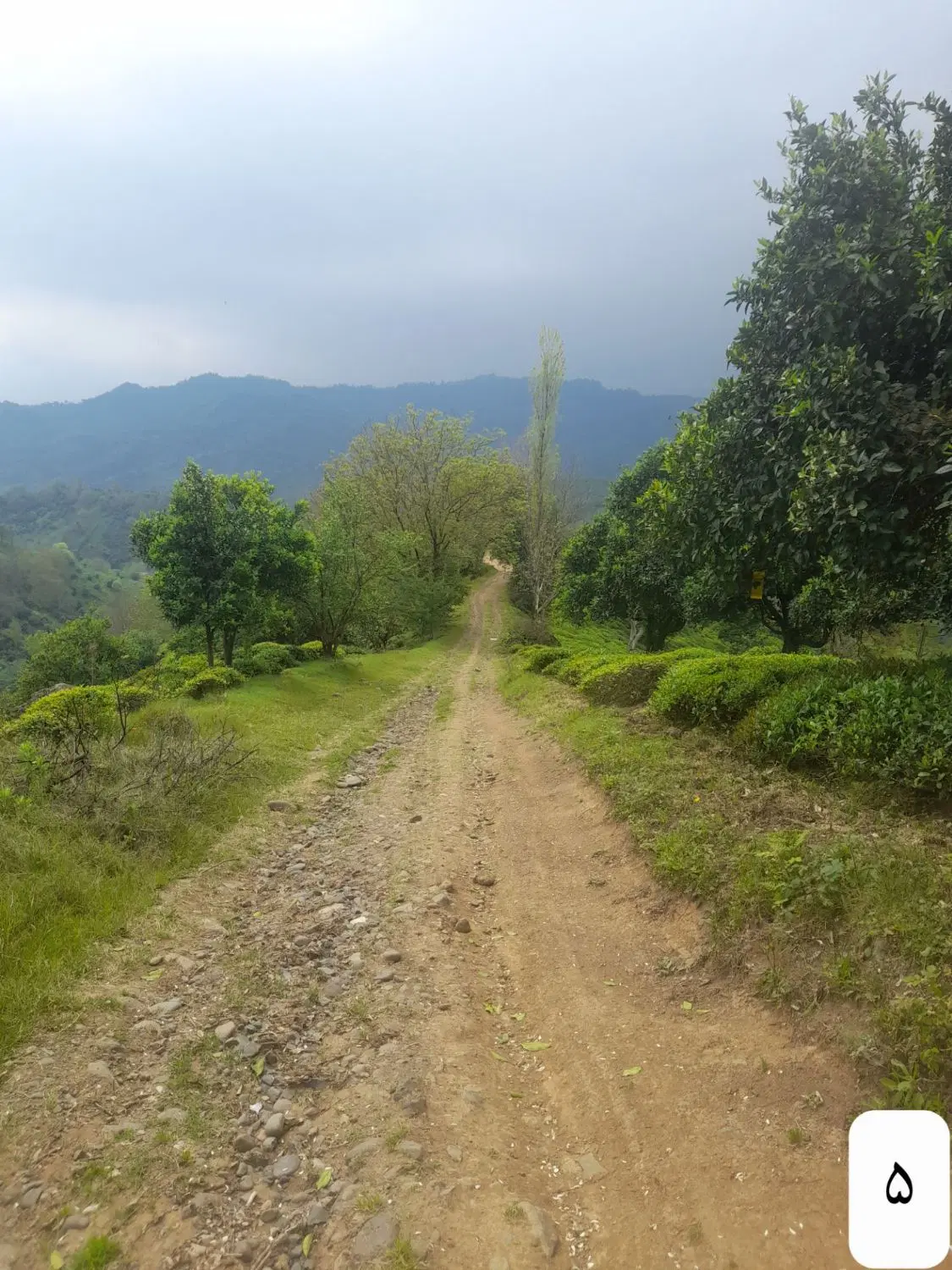 تصویر املاک 72800