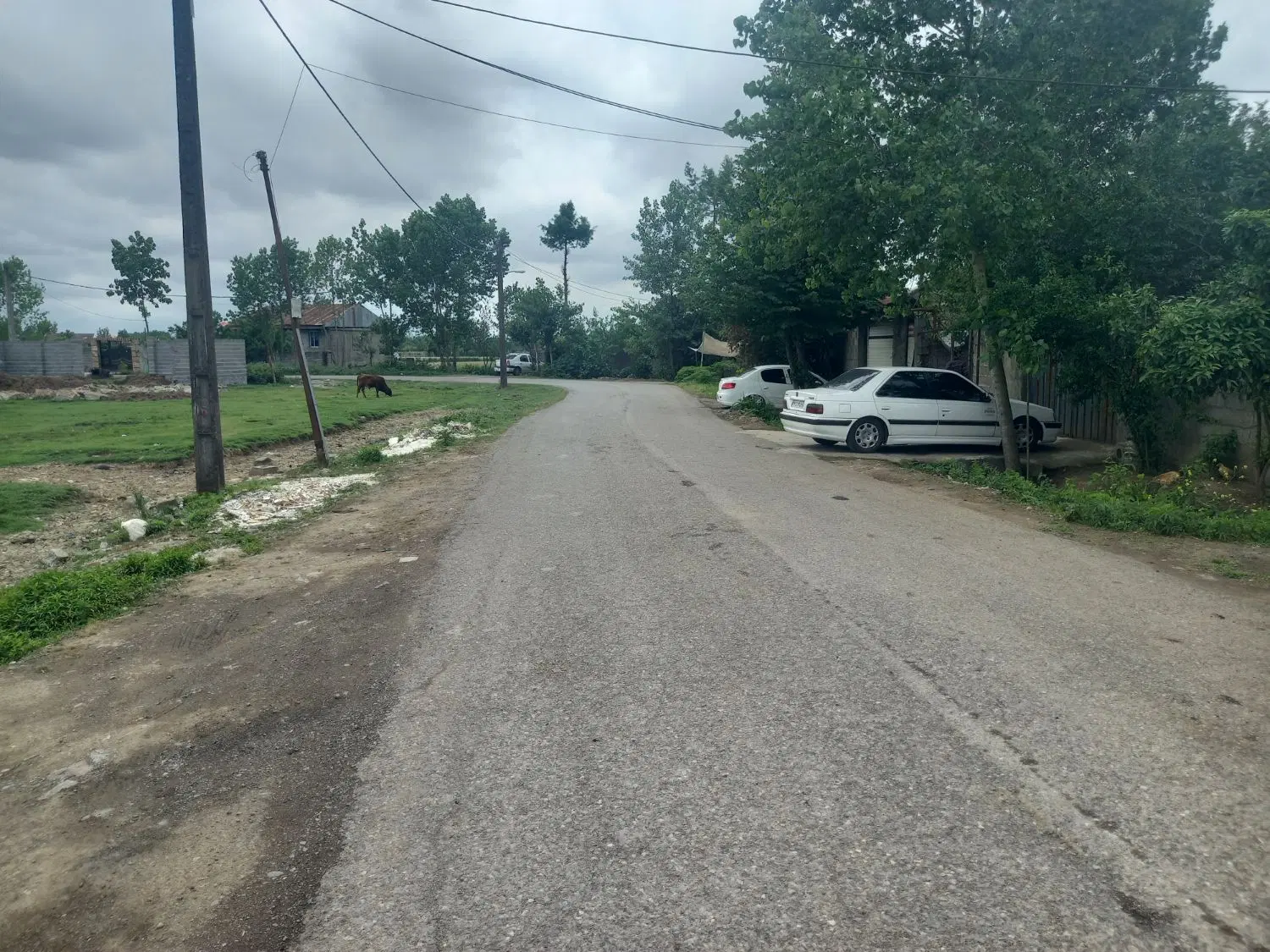 تصویر املاک 43529