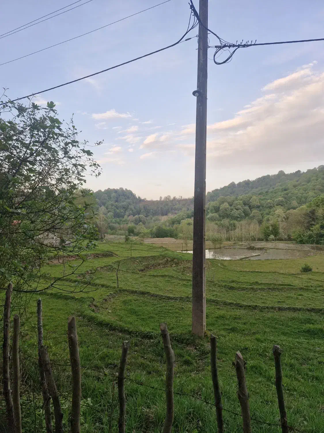 تصویر املاک 41495