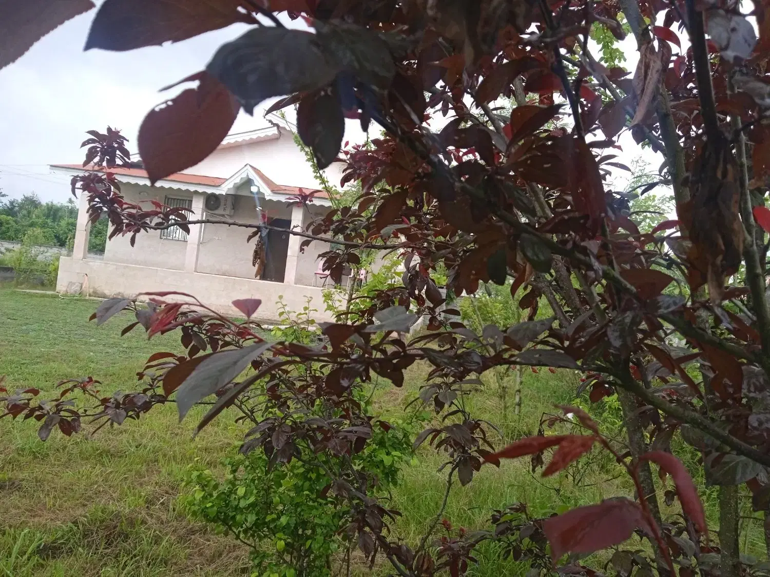 تصویر املاک 72226