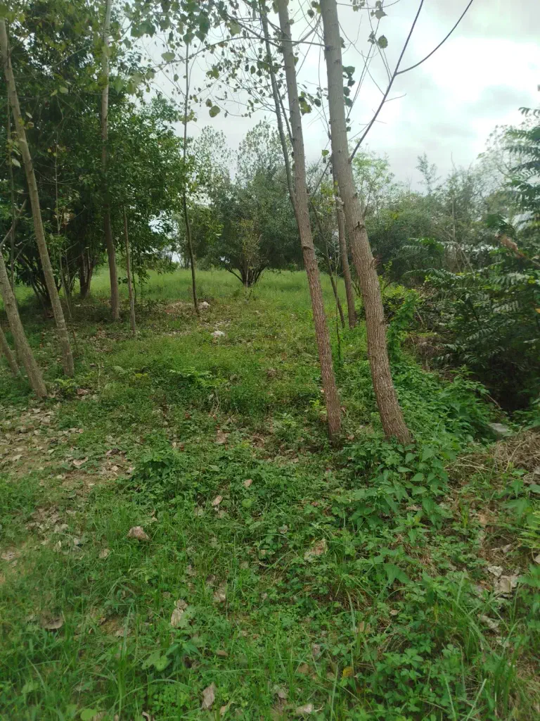 تصویر املاک 140066