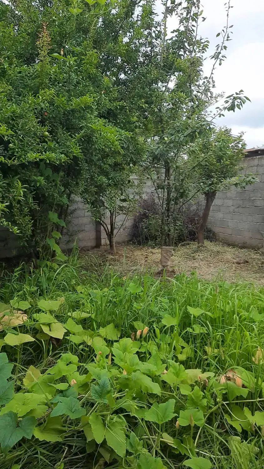 تصویر املاک 74524
