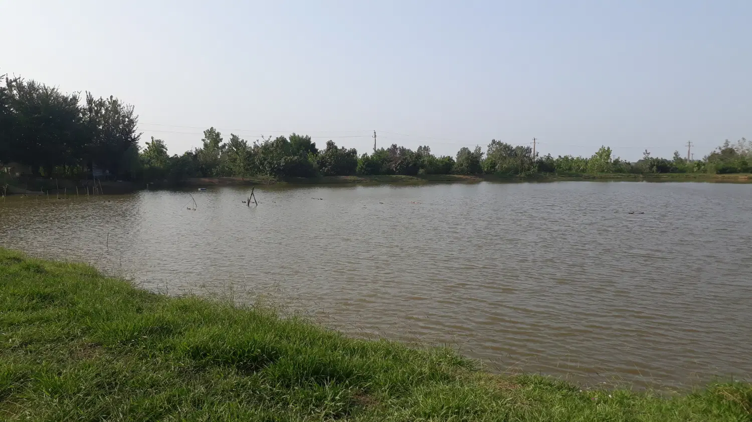 تصویر املاک 112520
