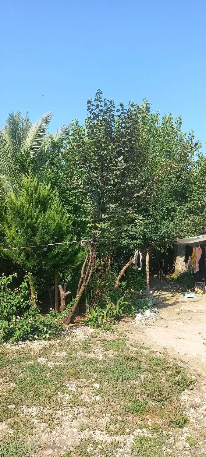 تصویر املاک 88383