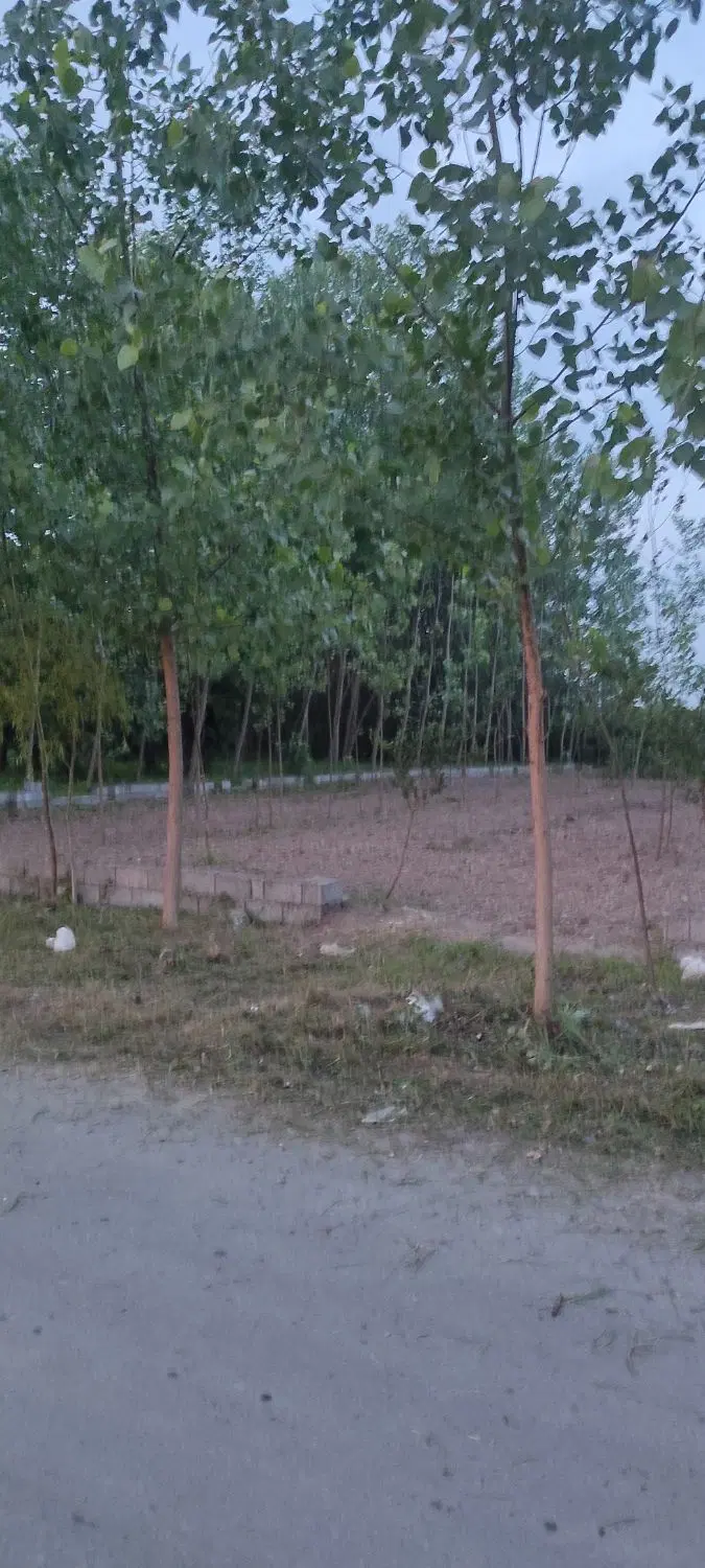 تصویر املاک 112301