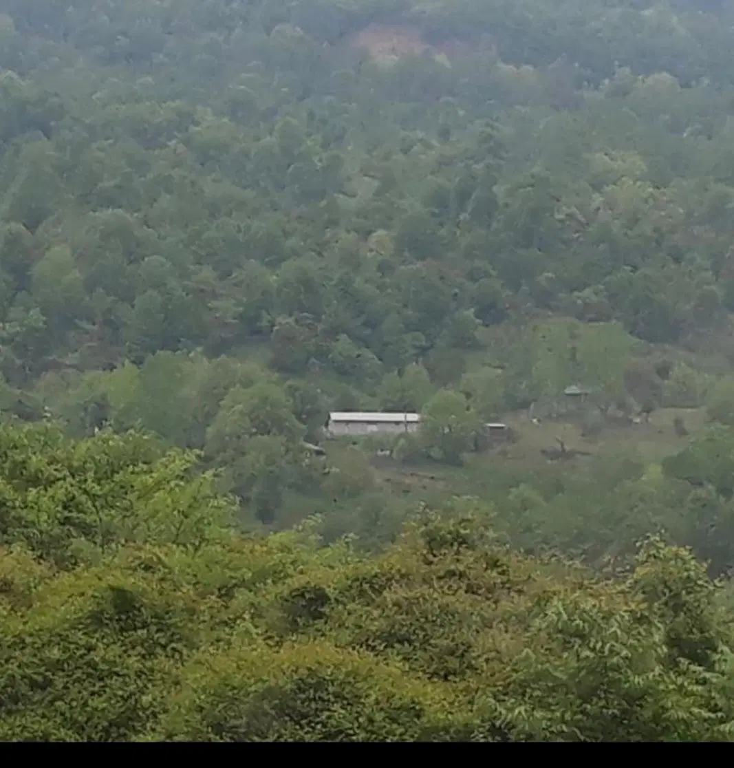 تصویر املاک 132900