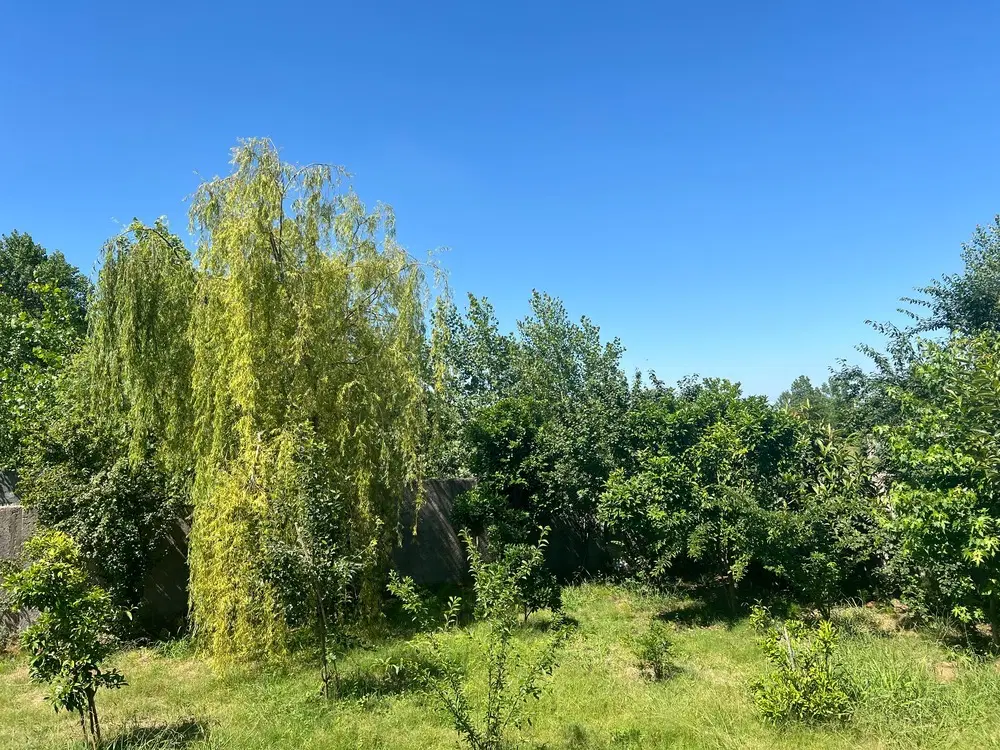 تصویر املاک 54614