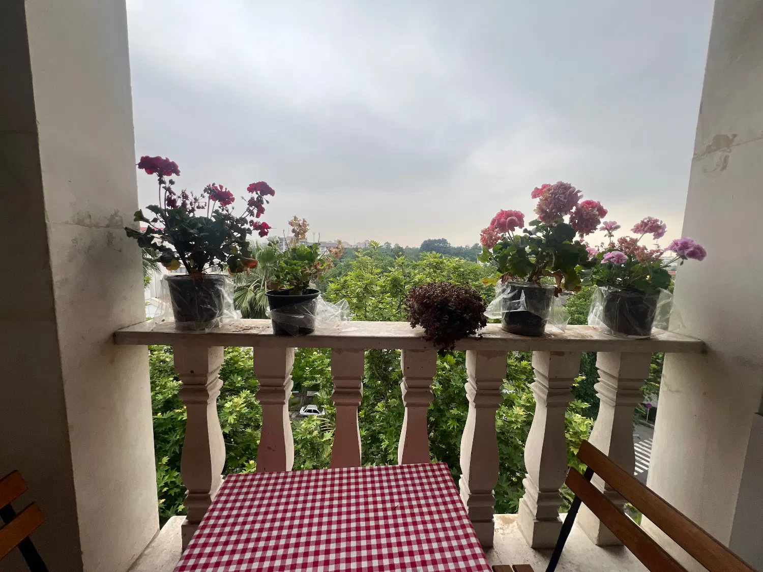تصویر املاک 52452
