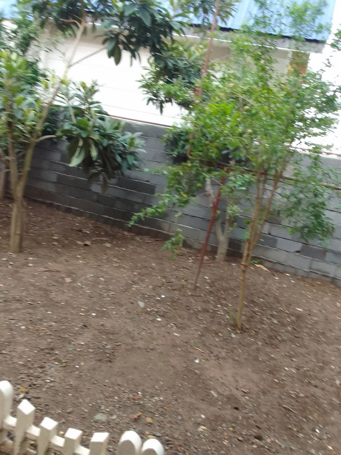 تصویر املاک 122353