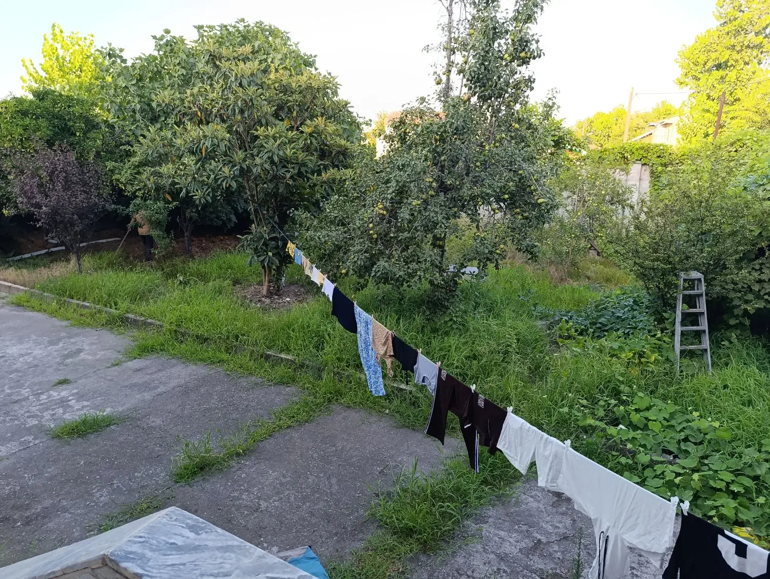 تصویر املاک 97925