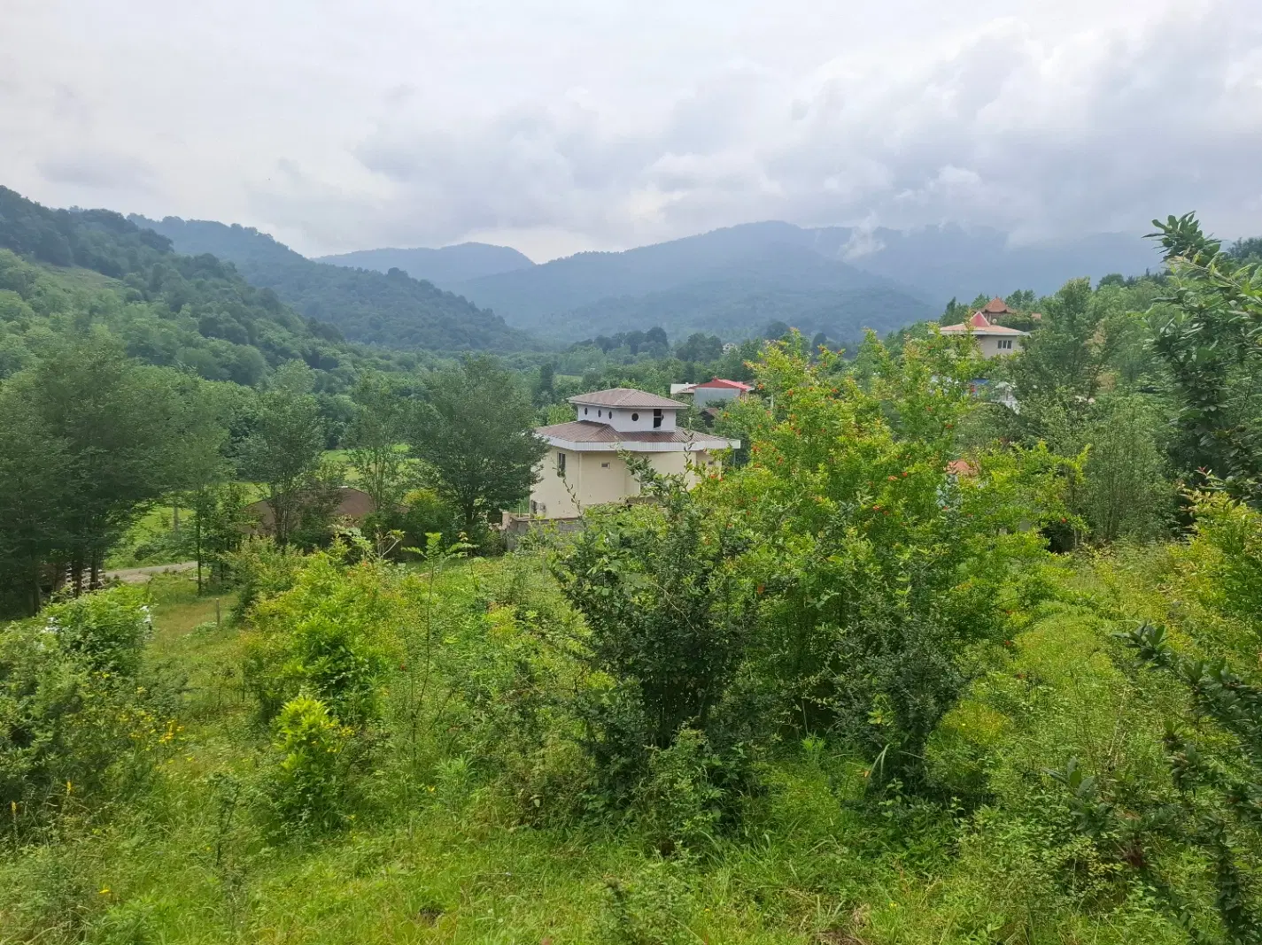 تصویر املاک 102119