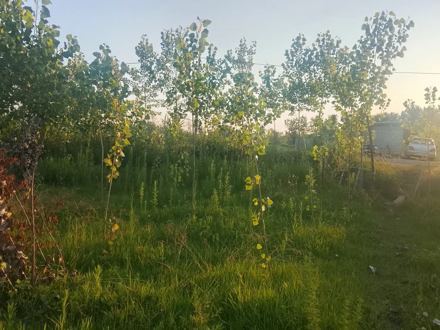 تصویر املاک 108802