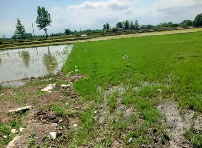 تصویر املاک 66663