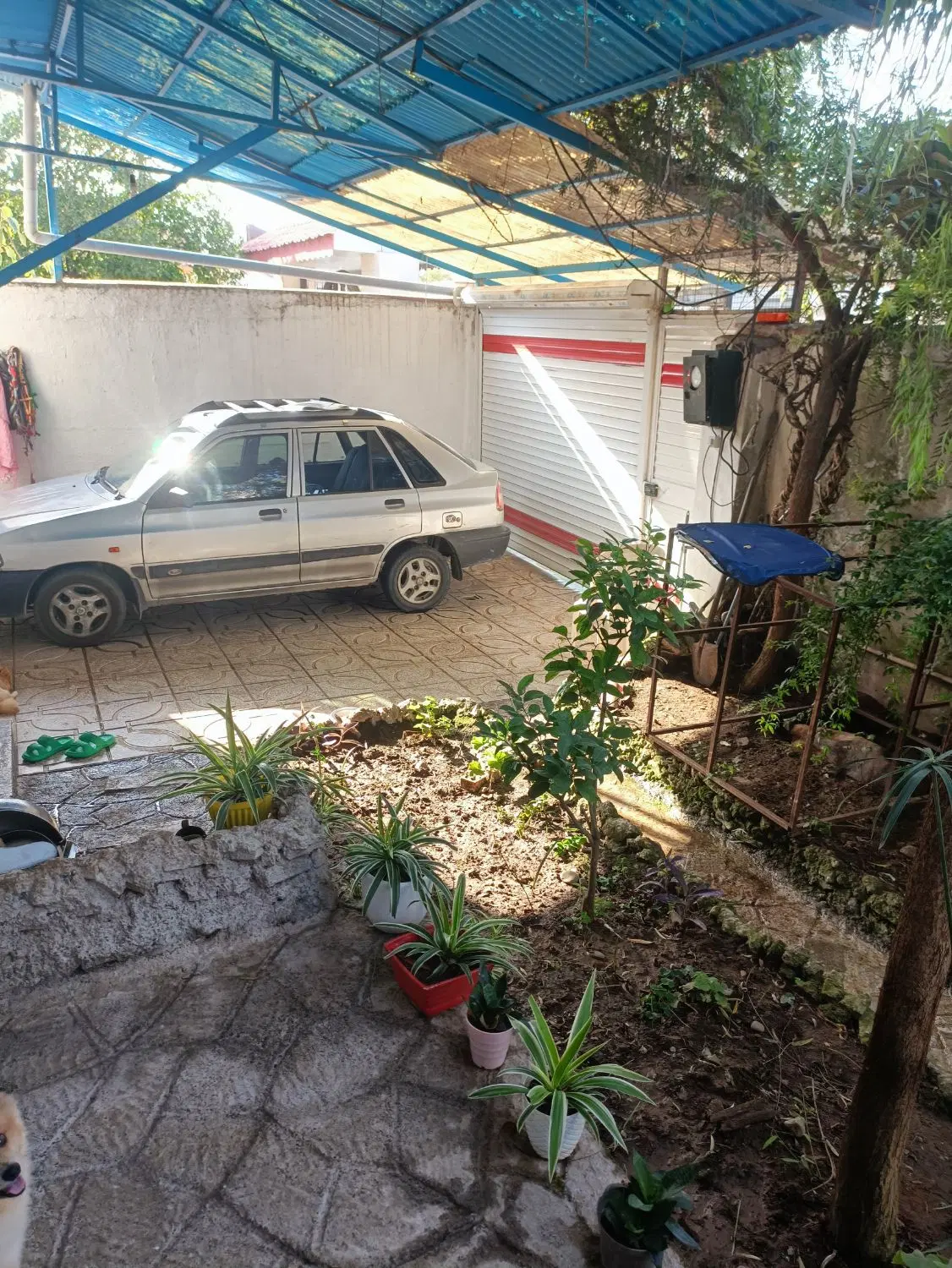 تصویر املاک 110213