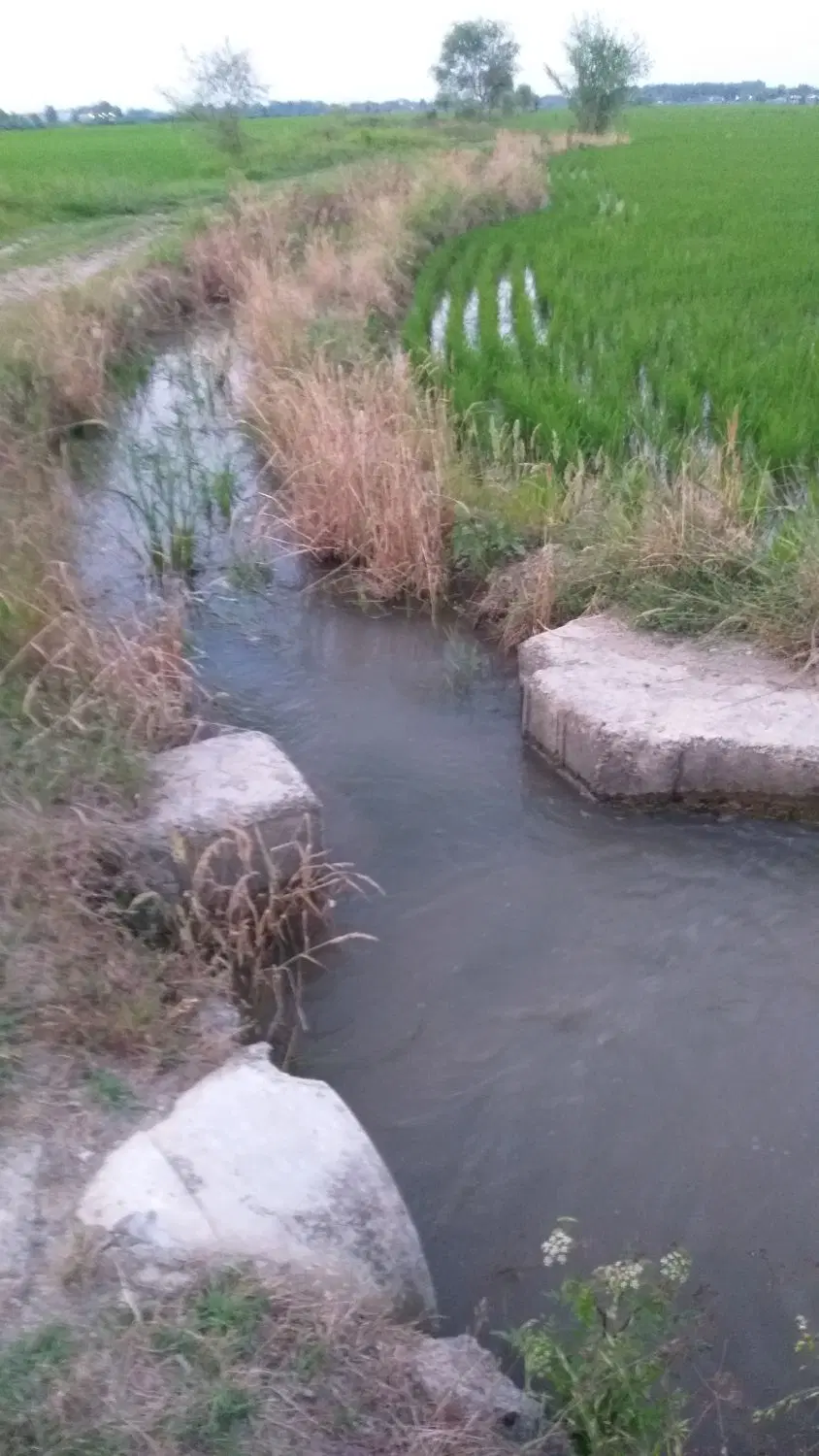 تصویر املاک 99136