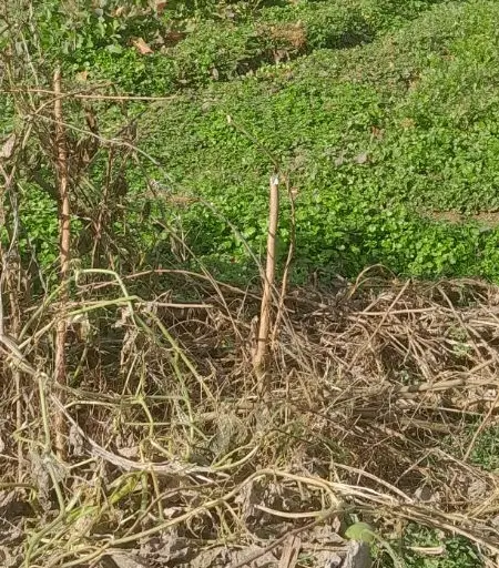 تصویر املاک 113069