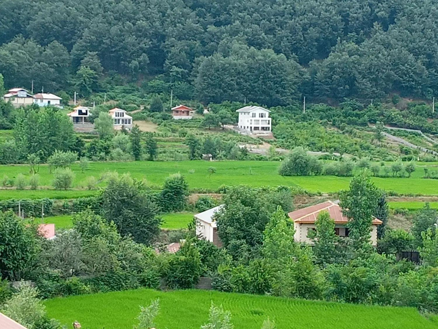 تصویر املاک 118596