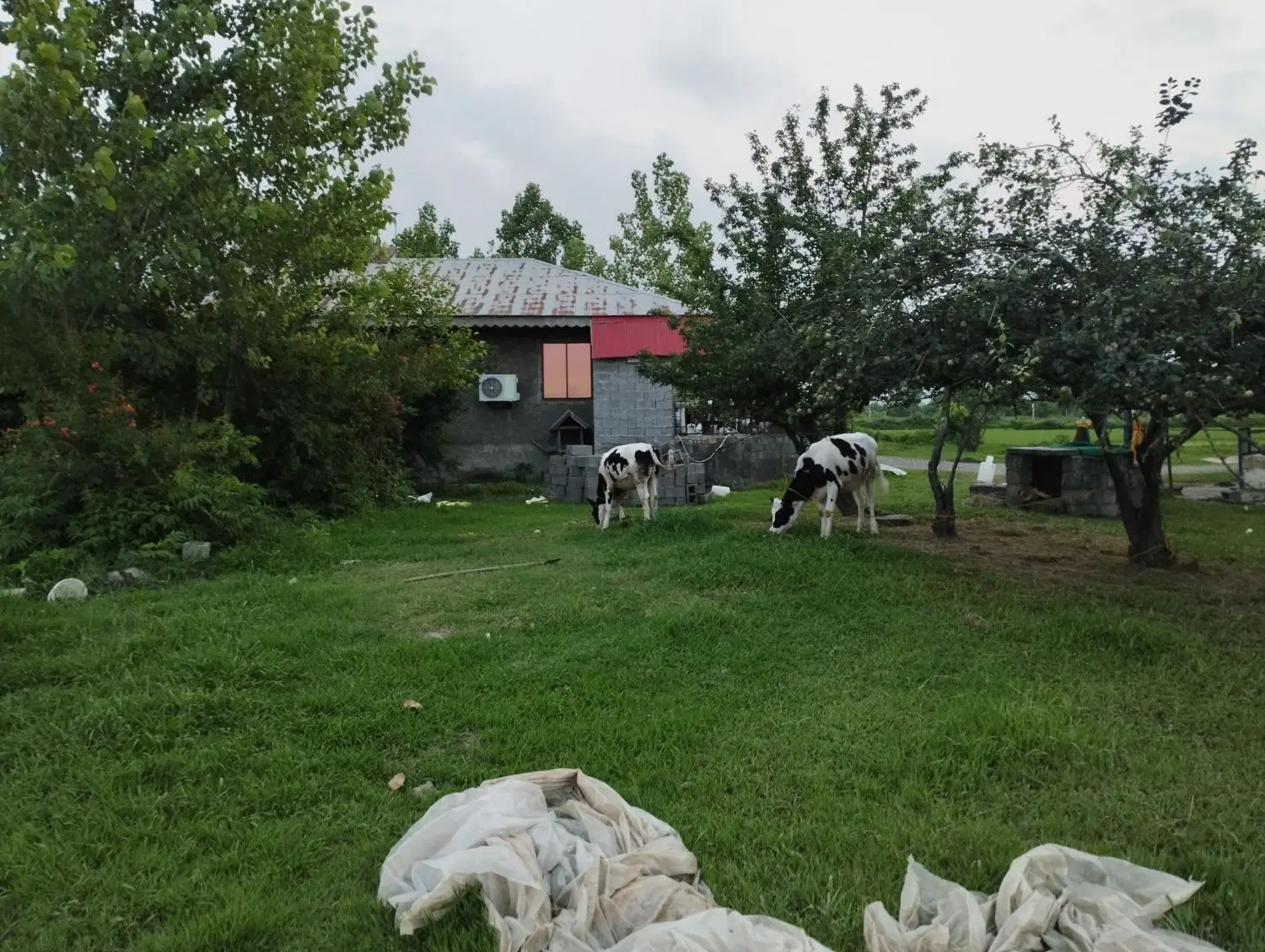 تصویر املاک 132049