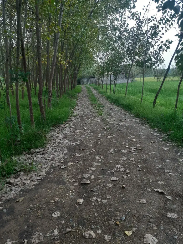تصویر املاک 143025