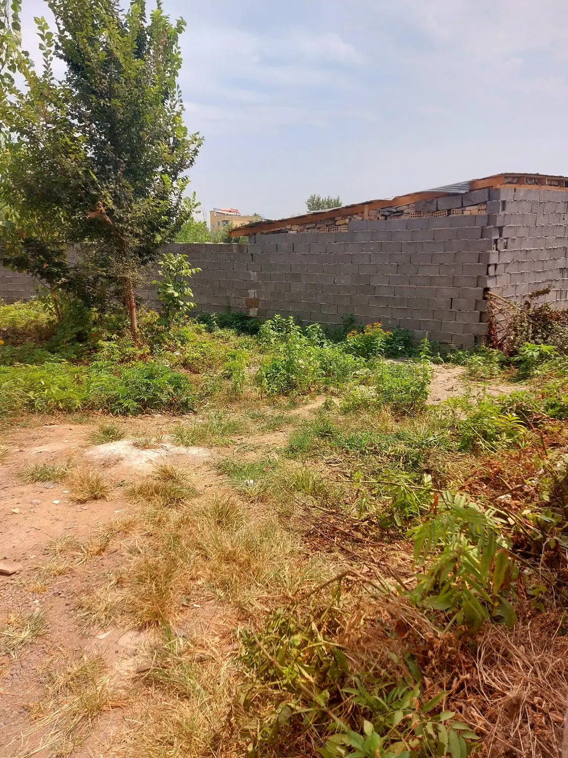 تصویر املاک 110555