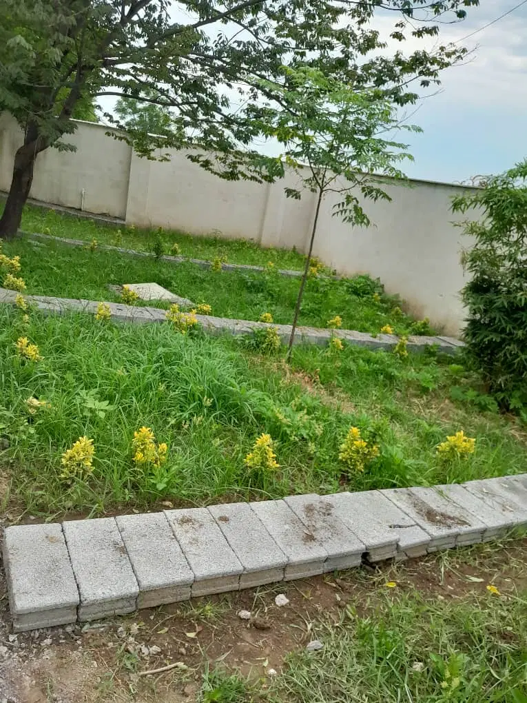 تصویر املاک 97497
