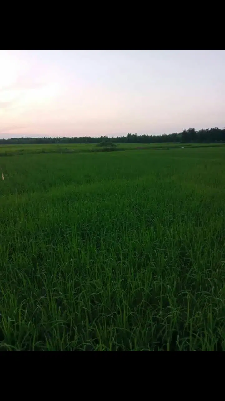تصویر املاک 98277