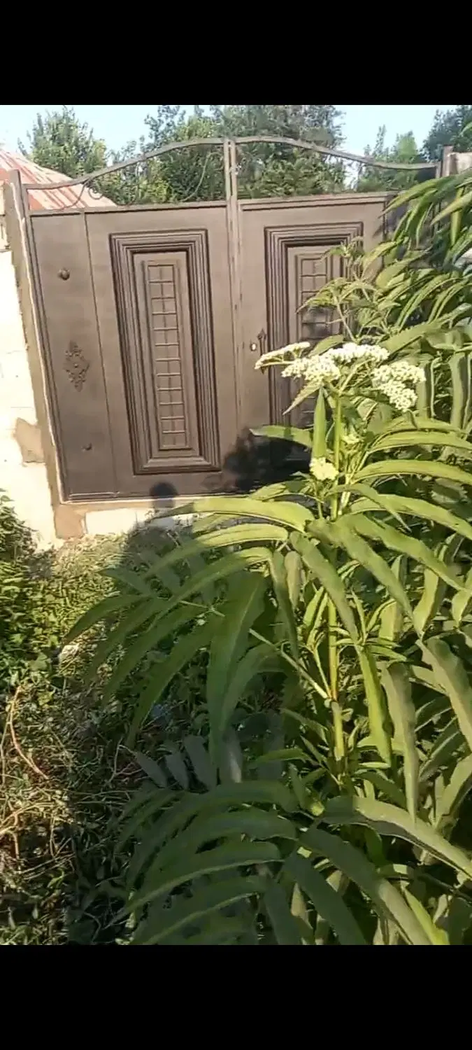 تصویر املاک 92538