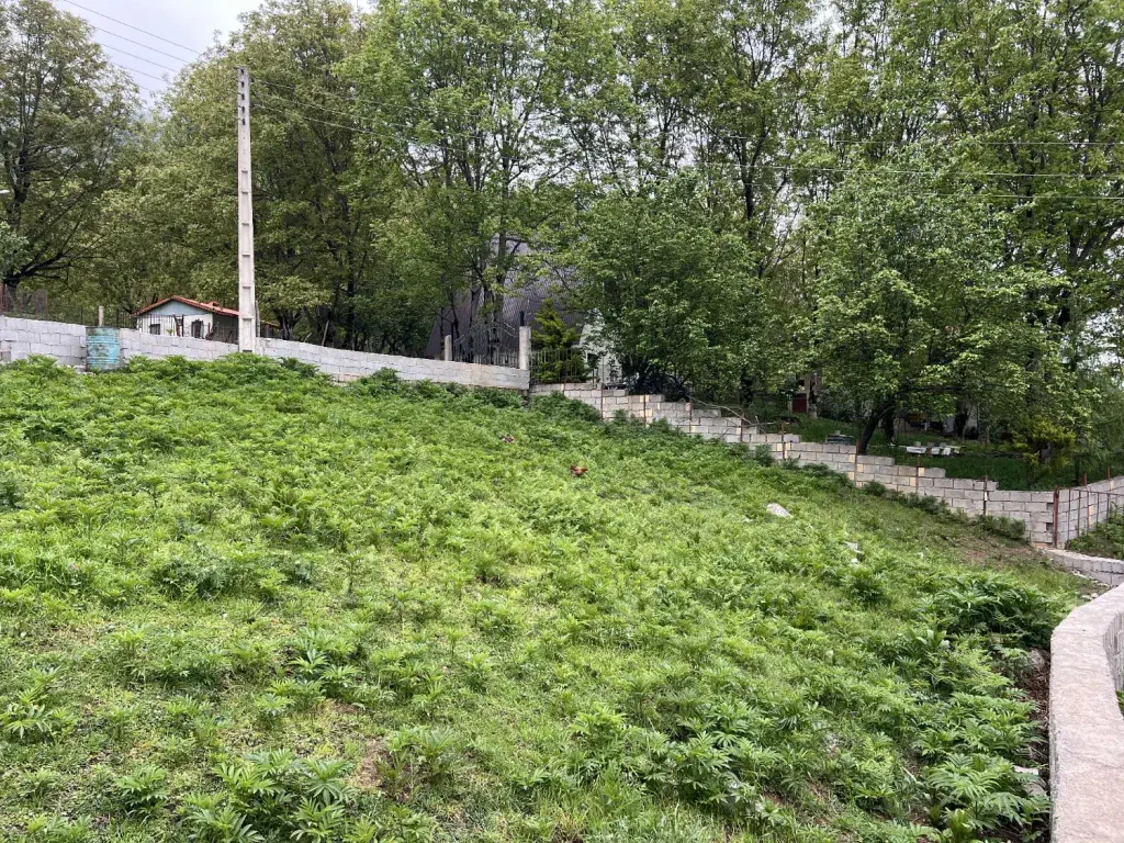 تصویر املاک 138302