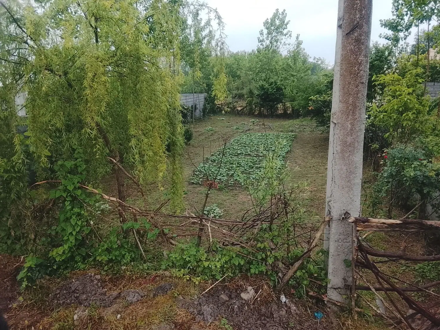 تصویر املاک 87836
