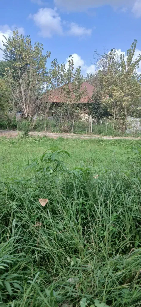 تصویر املاک 140411