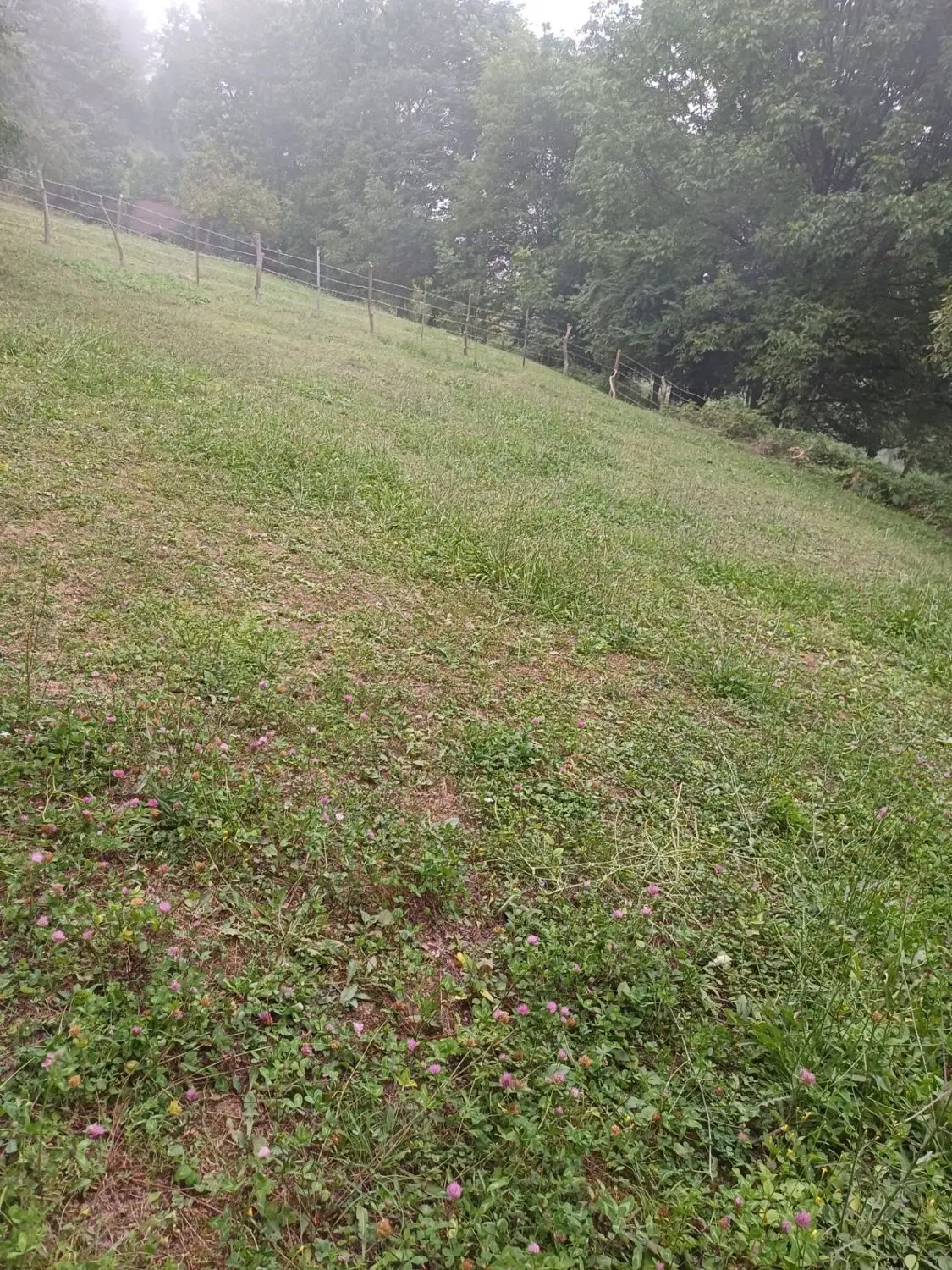 تصویر املاک 113729