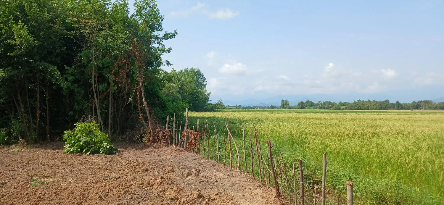 تصویر املاک 130804