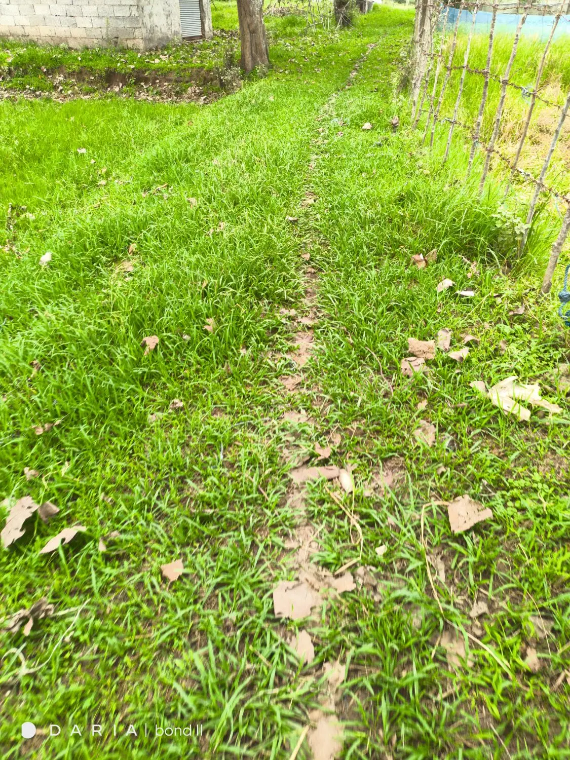 تصویر املاک 128200