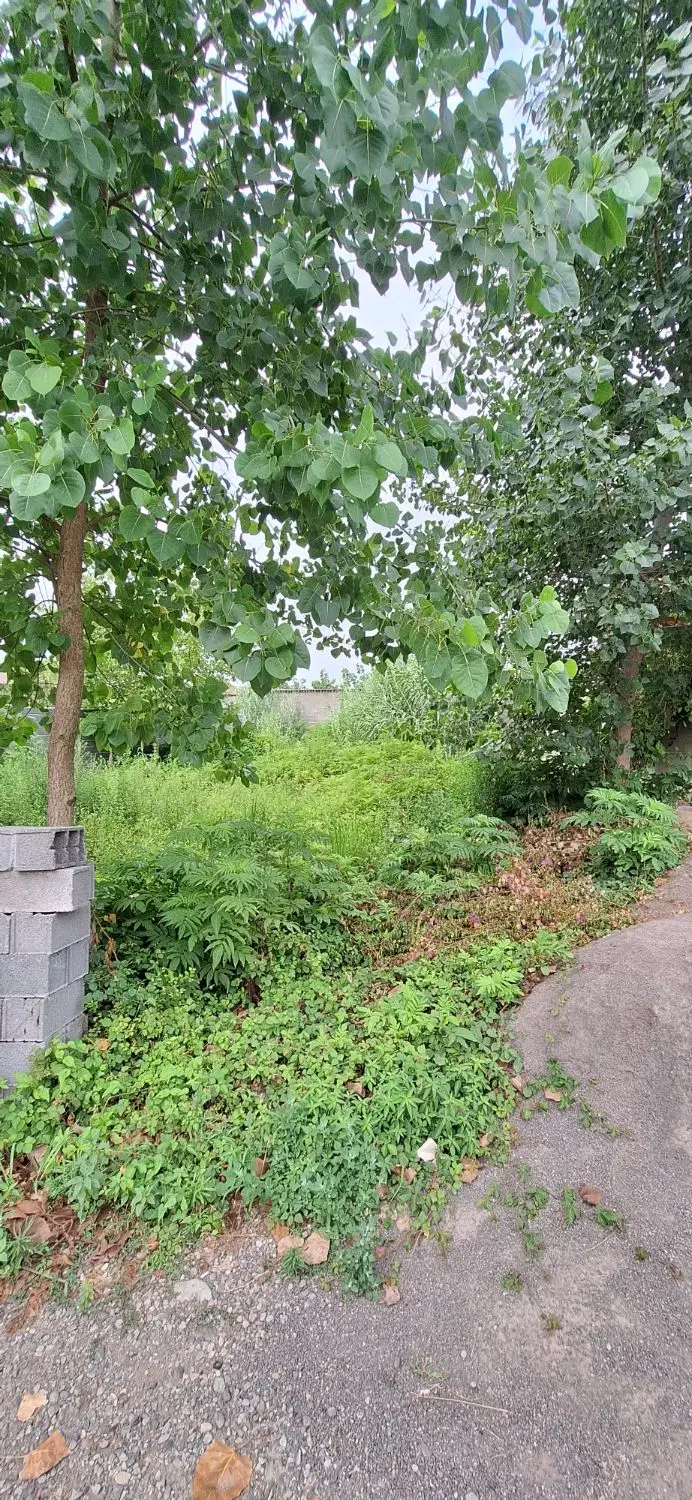 تصویر املاک 74589