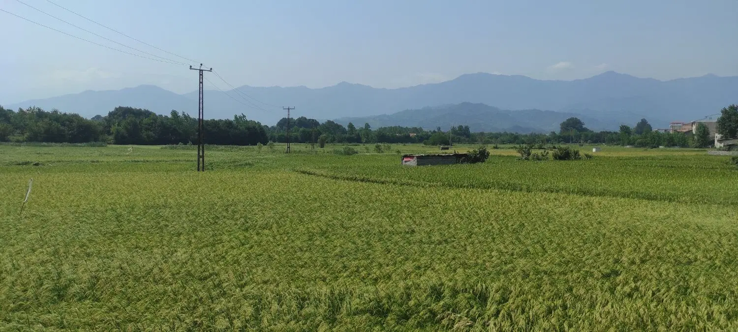 تصویر املاک 116310