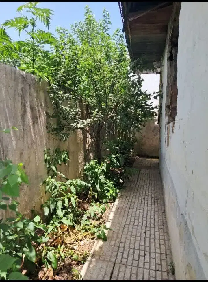 تصویر املاک 73282