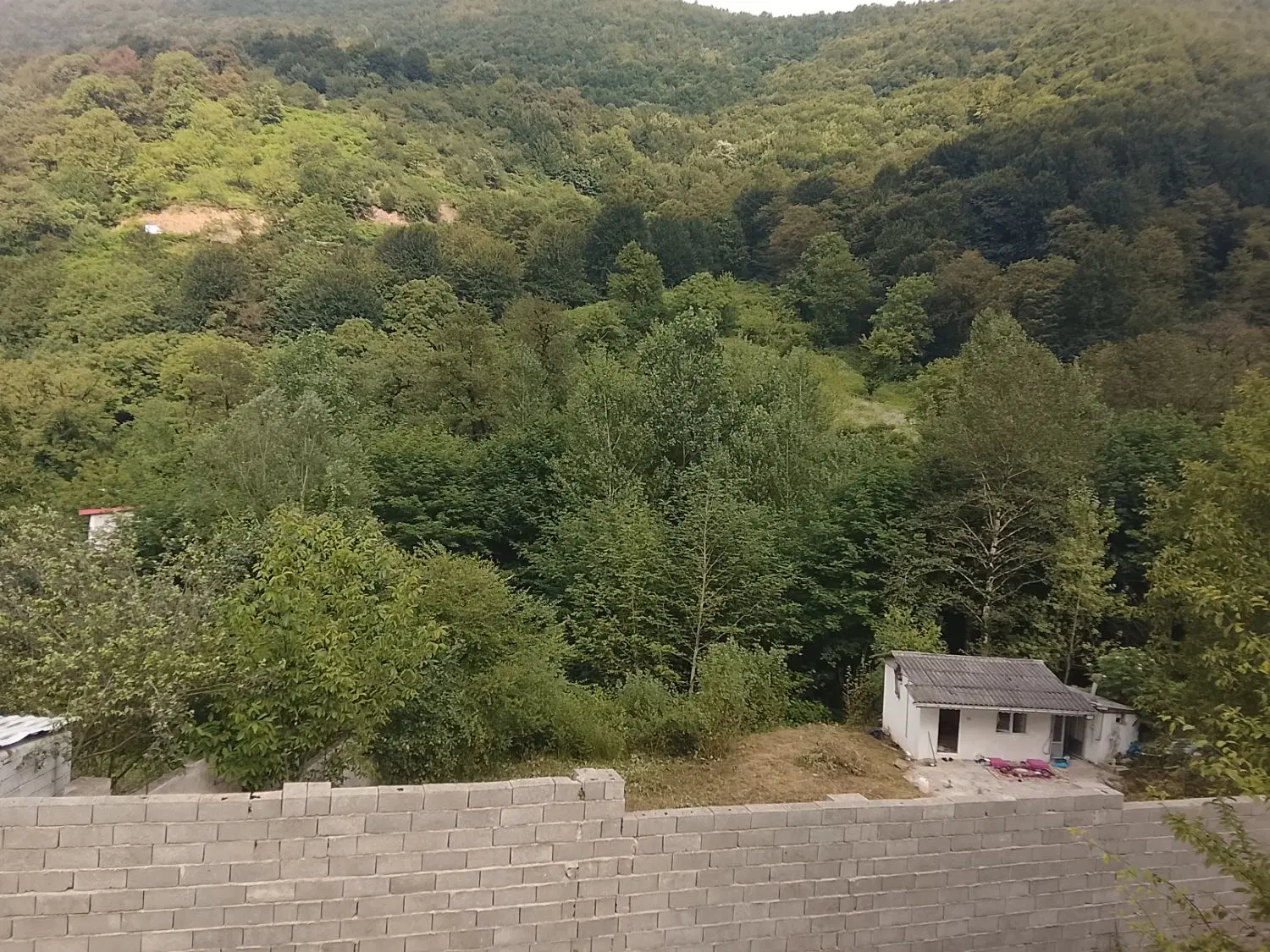 تصویر املاک 96181