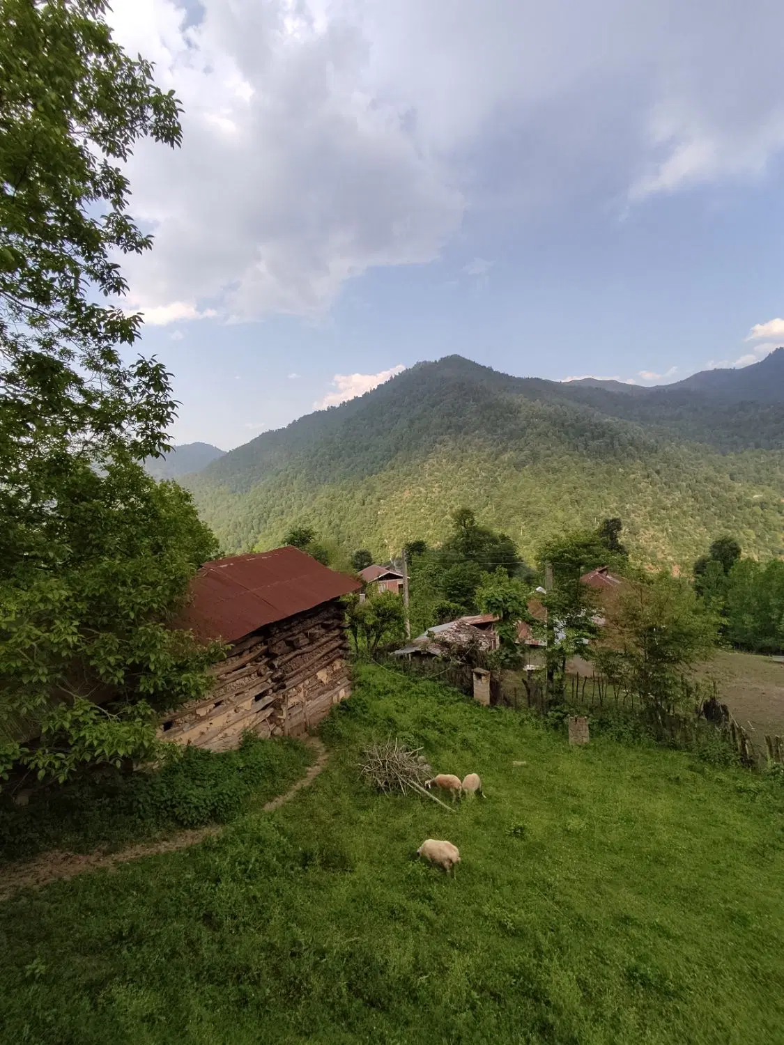 تصویر املاک 104853