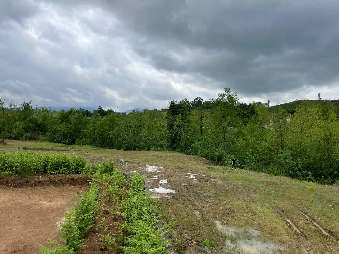 تصویر املاک 39256
