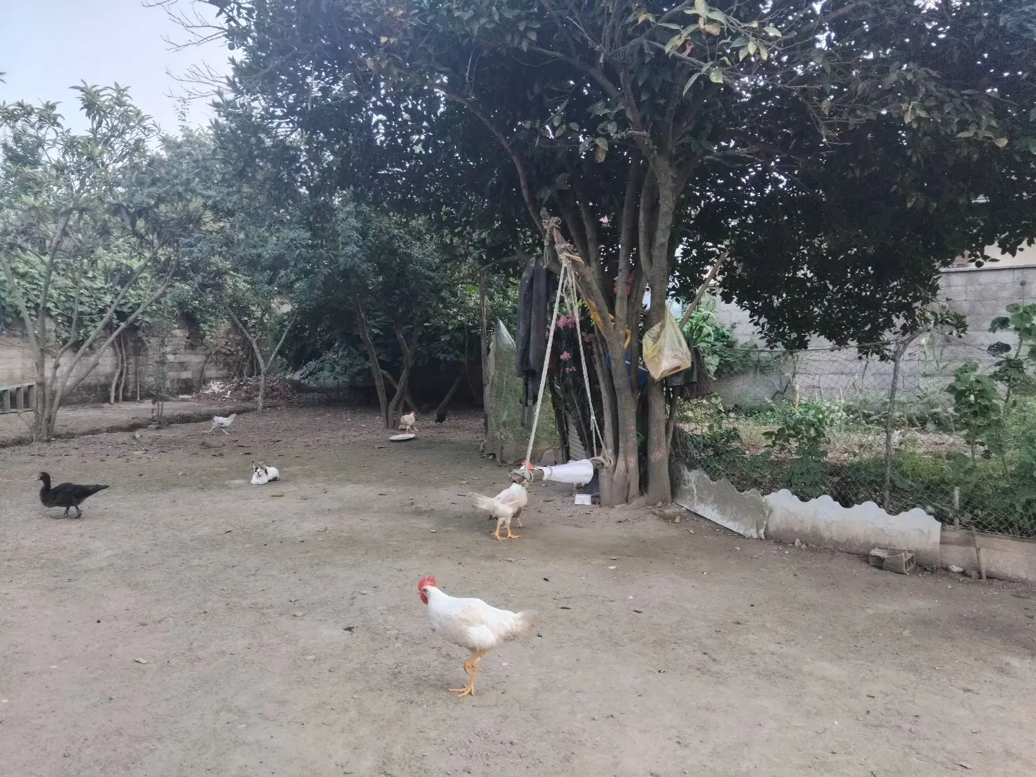 تصویر املاک 97843