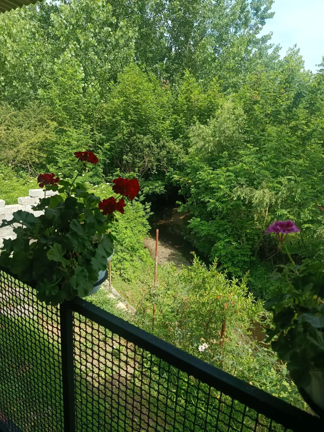 تصویر املاک 110562