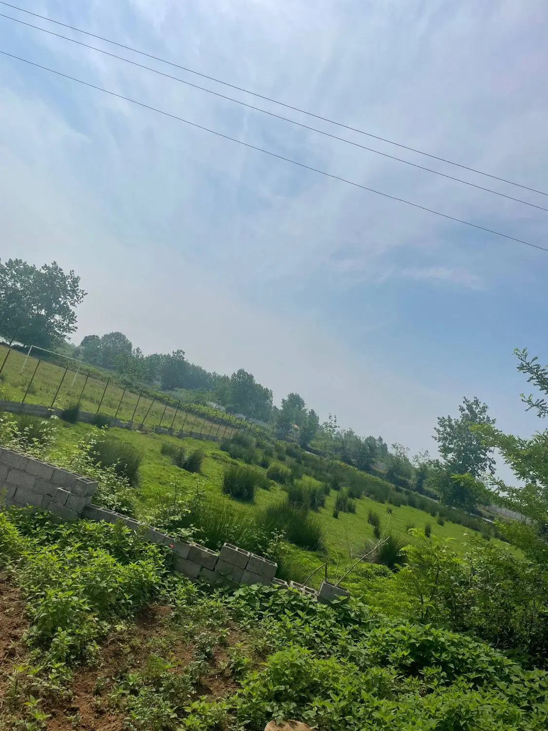 تصویر املاک 104724