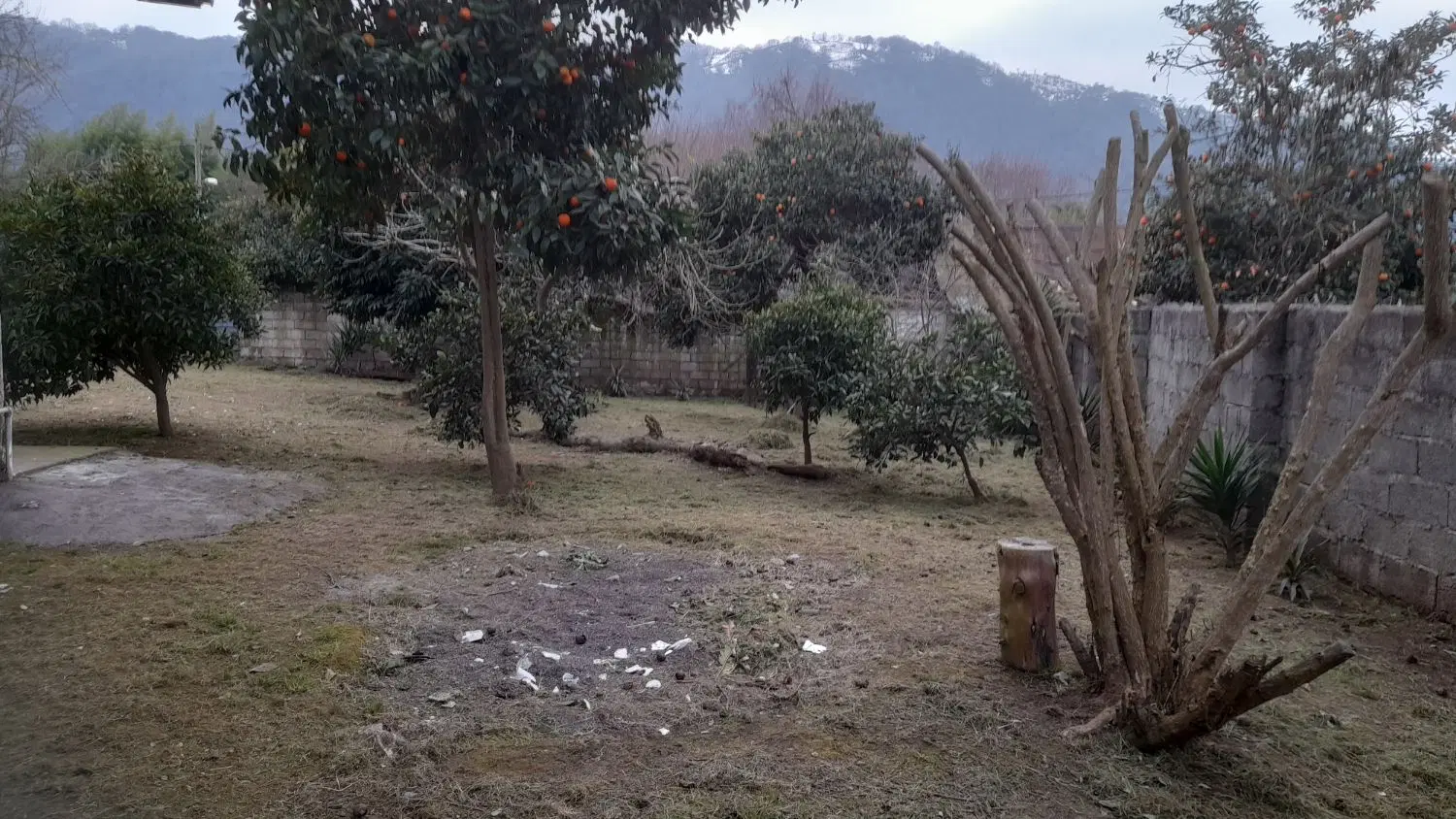 تصویر املاک 44692