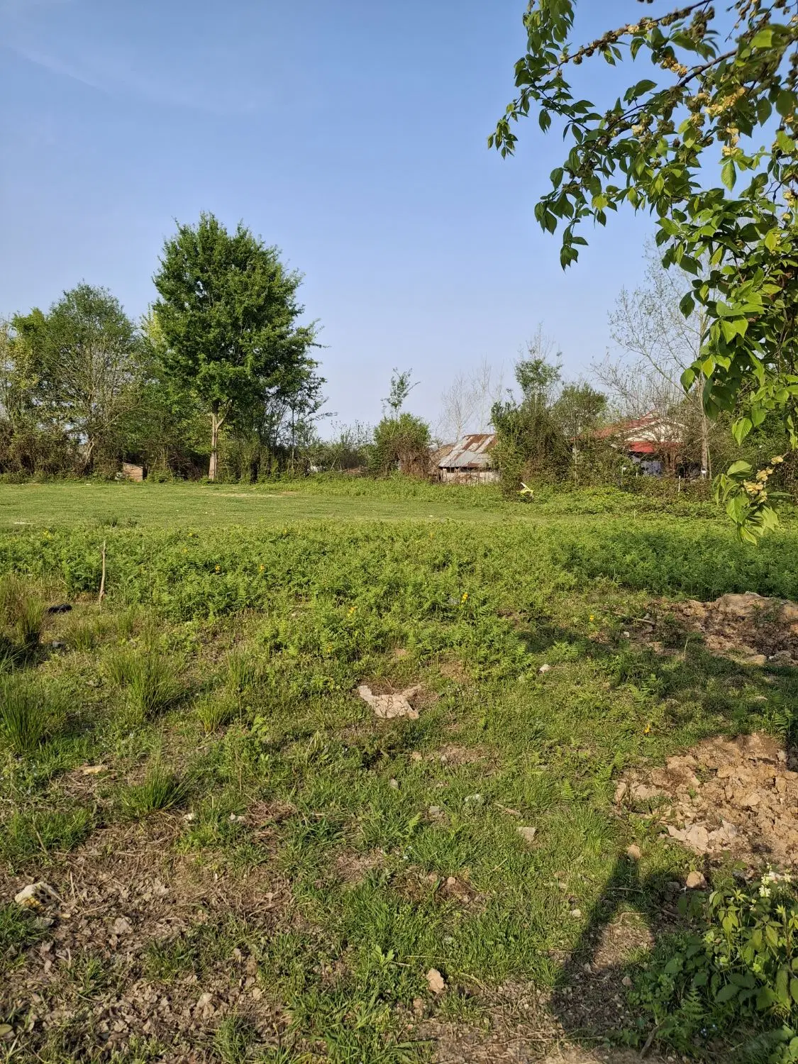 تصویر املاک 82554