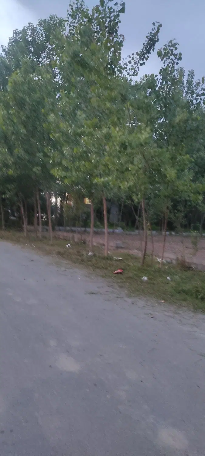 تصویر املاک 112293