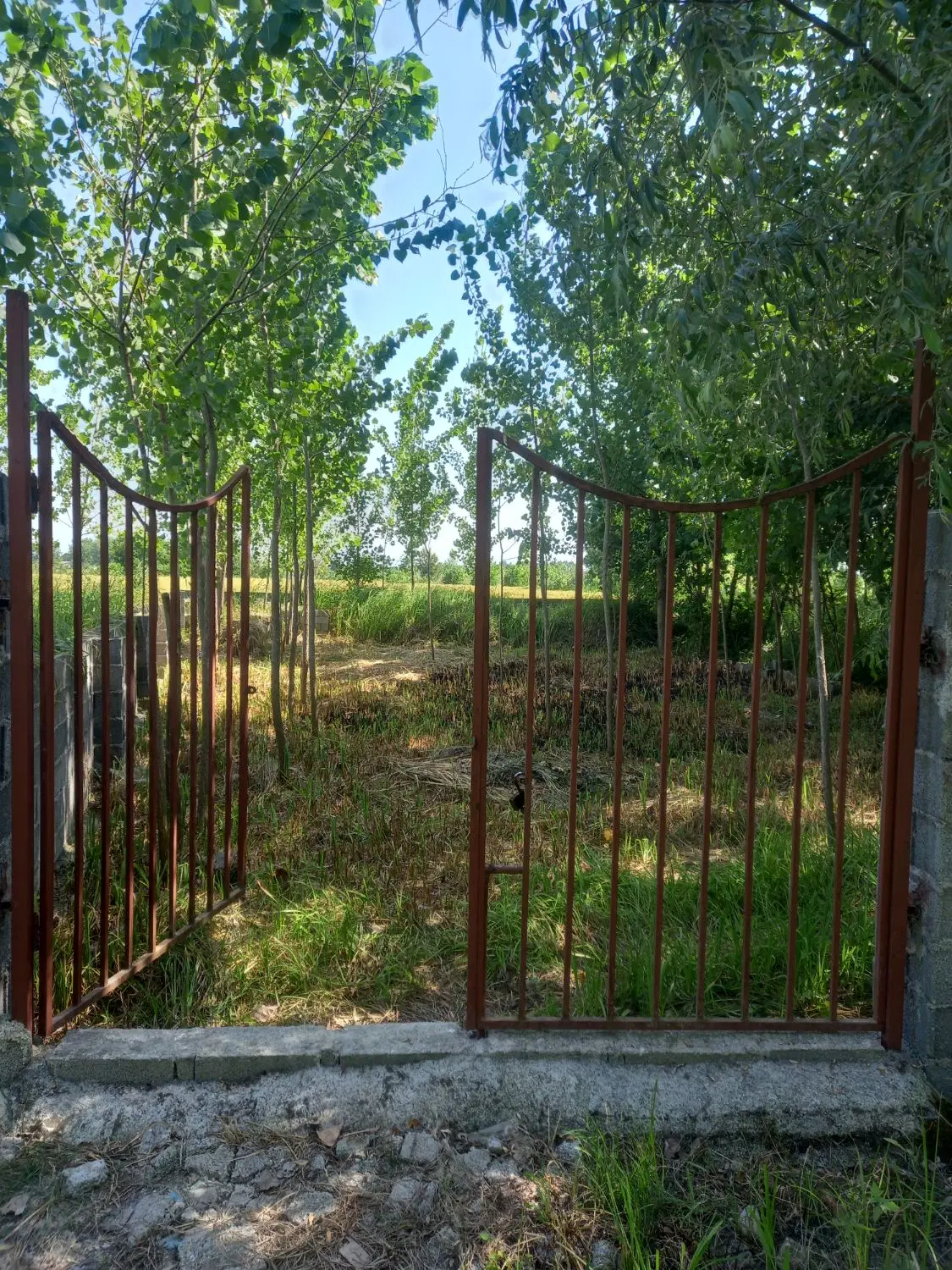 تصویر املاک 108794