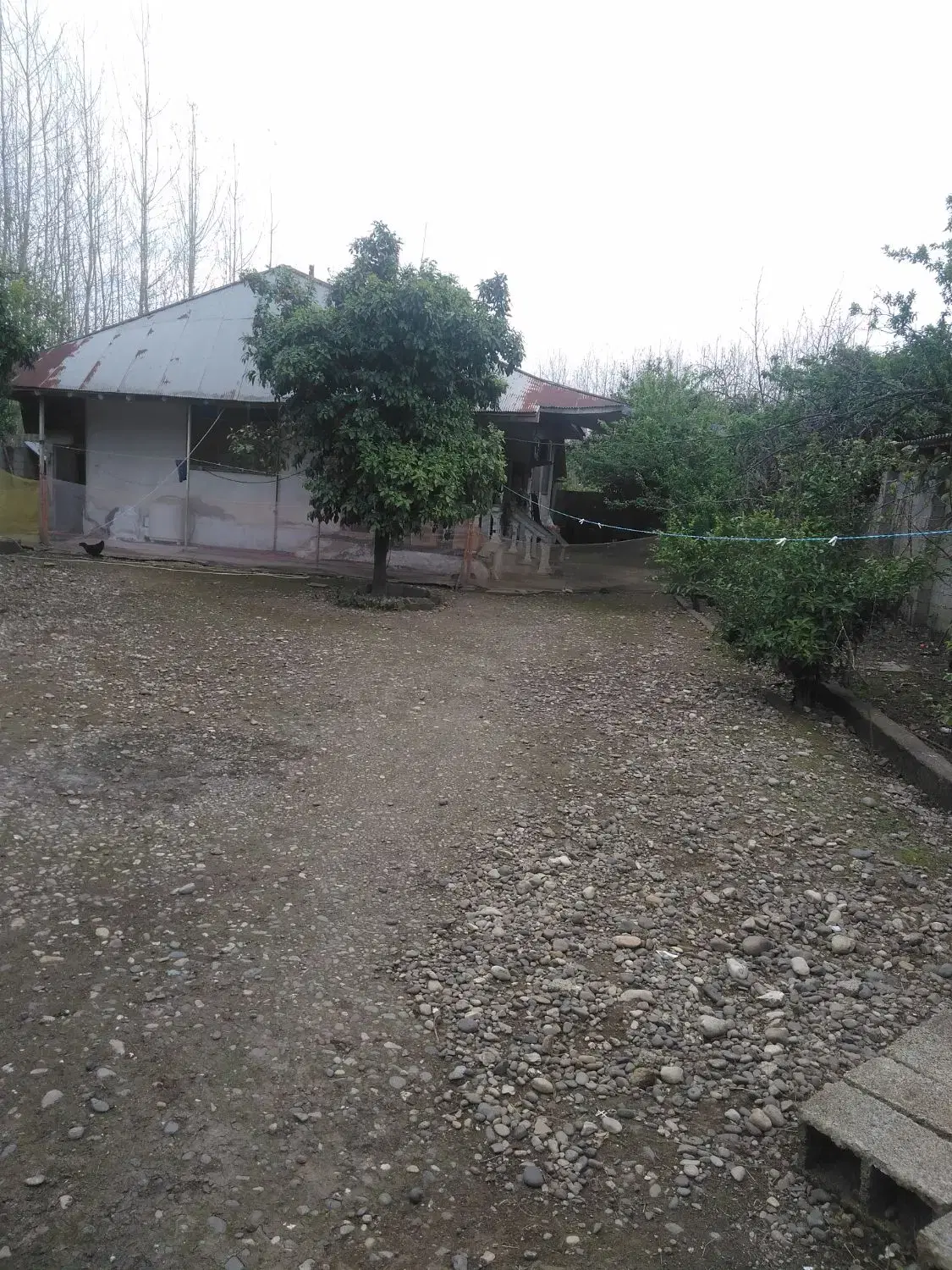 تصویر املاک 76542