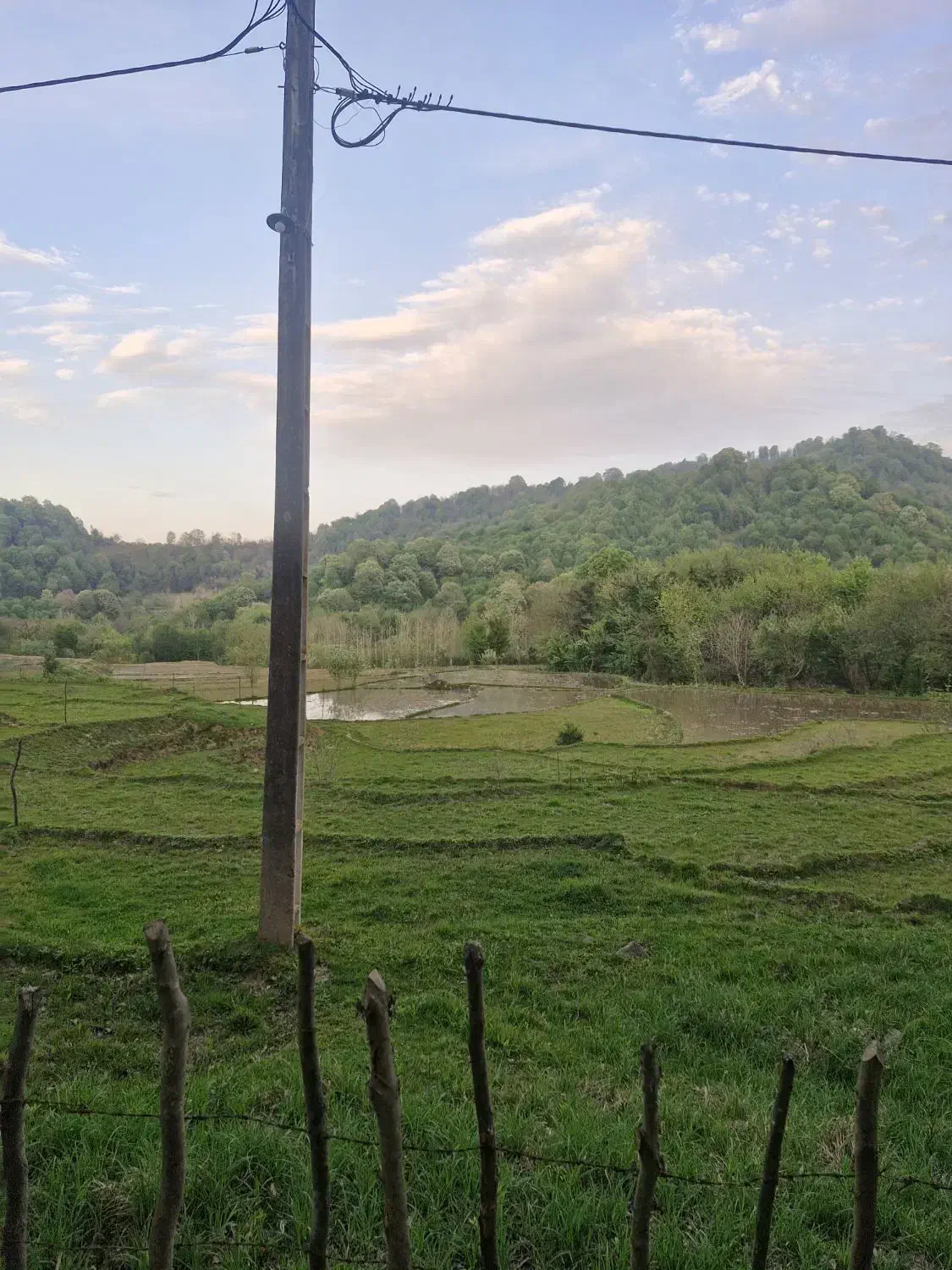 تصویر املاک 41493