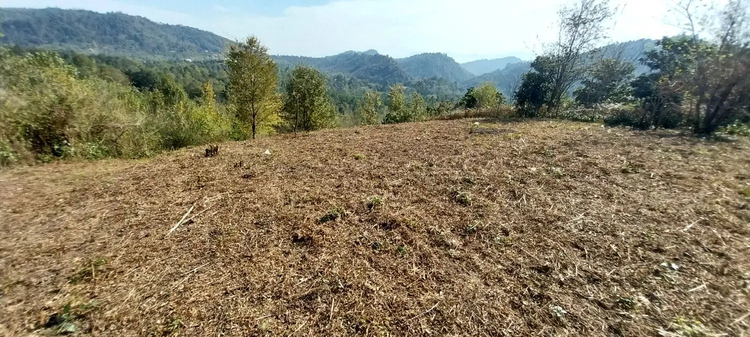 تصویر املاک 105167