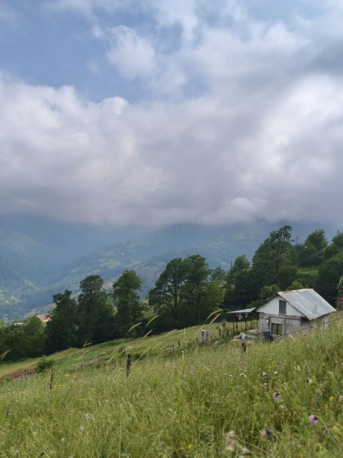 تصویر املاک 71516
